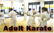 Adult karate NY