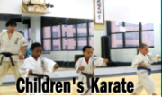 children karate NY