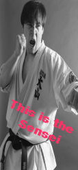 karate teacher NY