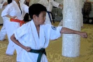 Ren Oyama Karate